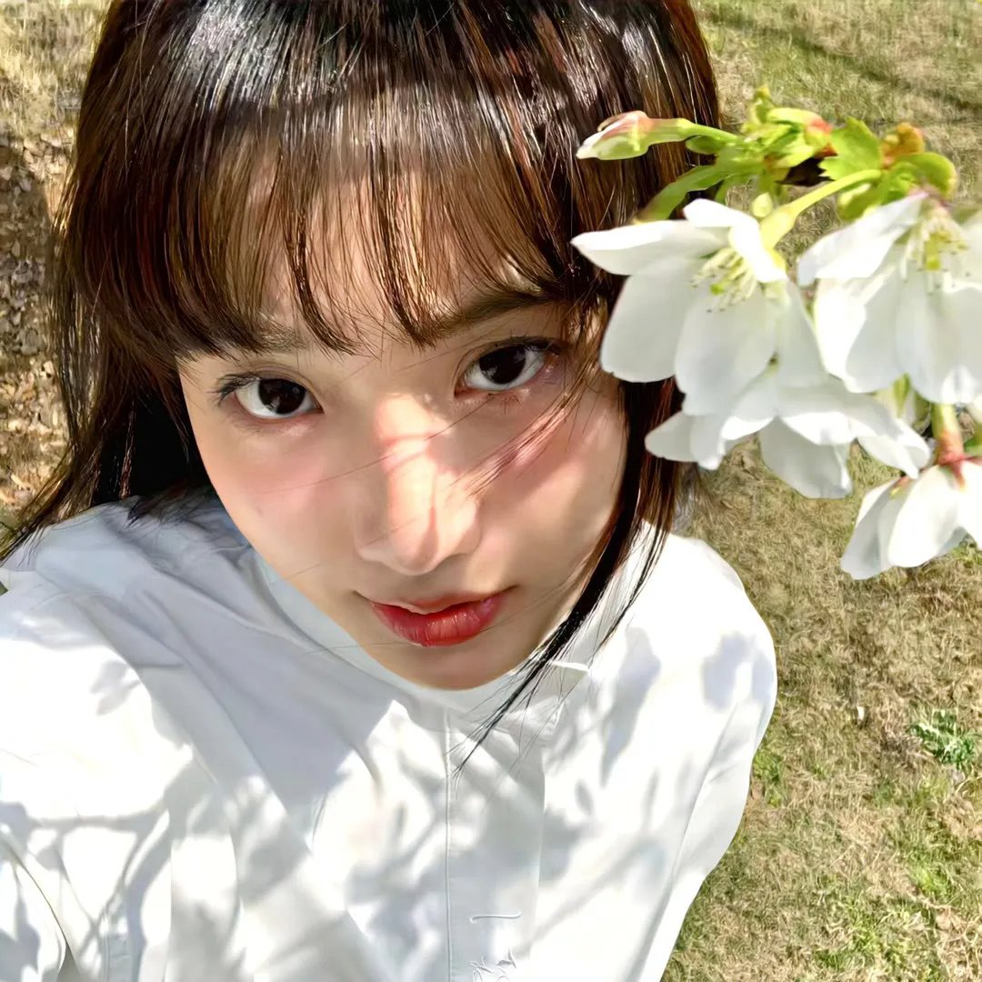 虎踞龙蟠